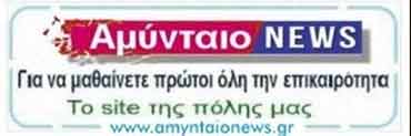 Amyntaio News - Αμύνταιο