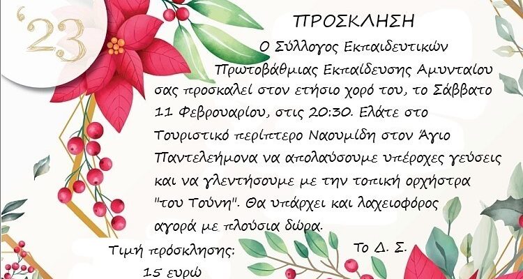 Χορός συλλόγου εκπαιδευτικών πρωτοβάθμιας Αμυνταίου