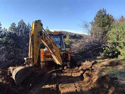 Αντιδράσεις για αιολικό δίπλα σε natura στο Λέχοβο – Φόβοι για αρκούδα και αλλά είδη