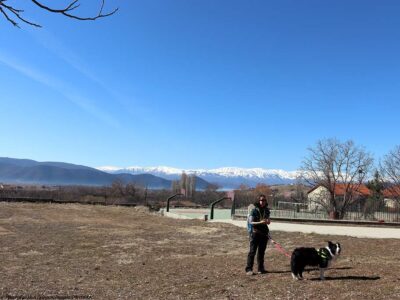 Οι μαθητές του Γυμνασίου και Λυκείου Λαιμού Πρεσπών συμμετέχουν στον εορτασμό της Εθνικής Ημέρας Δράσης ενάντια στη χρήση των δηλητηριασμένων δολωμάτων