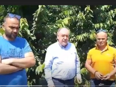 Ο Σ. Παπασωτηρίου επισκέφθηκε την ευρύτερη περιοχή του Αμυνταίου, πραγματοποιώντας, αυτοψία στις πληγείσες περιοχές, από τη θεομηνία