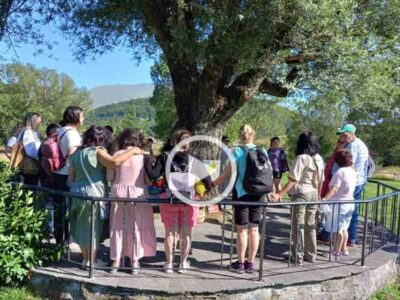 Μια Κυριακή, μα τι Κυριακή