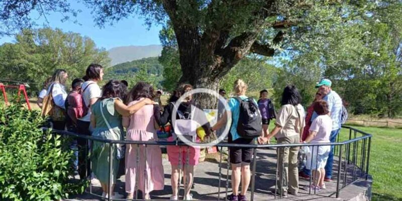 Μια Κυριακή, μα τι Κυριακή