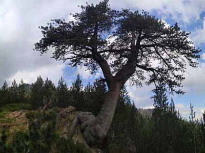 Ο Ε.Ο.Σ. Κοζάνης οργανώνει την Κυριακή 3/9 εξόρμηση στη Βάλια Κάλντα