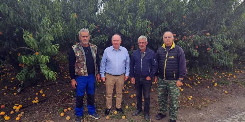 Συνάντηση του βουλευτή ΠΕ Φλώρινας Στ. Παπασωτηρίου, με τους Ροδακινοπαραγωγούς των τοπικών κοινοτήτων Βεγόρας και Μανιακίου