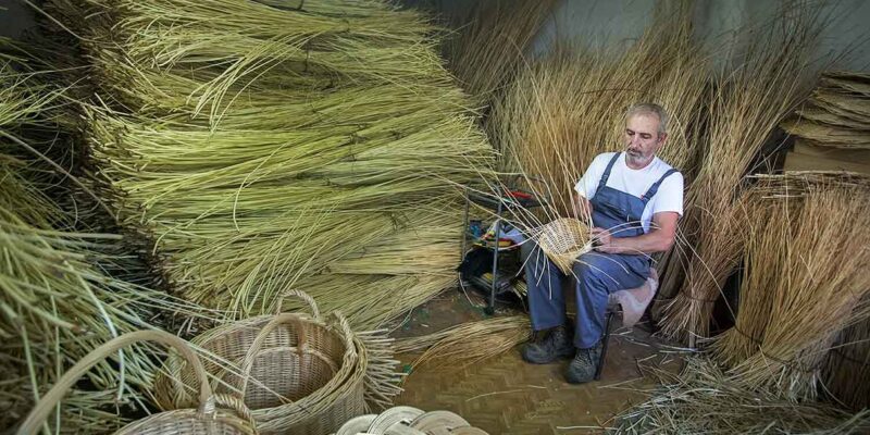 «Είκοσι χρόνια καλαθοπλέκτης» – Η άγνωστη παράδοση στη Φλώρινα