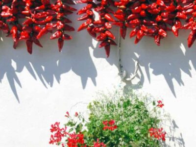 Έλενα Νάμινι - Το άρωμα της ψητής πιπεριάς Φλωρίνης