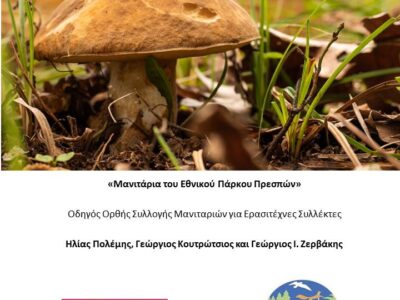 Καταγραφή μυκοχλωρίδας στο Εθνικό Πάρκο Πρεσπών