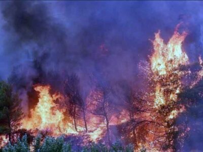 Επιβολή διοικητικού προστίμου σε γυναίκα για πρόκληση πυρκαγιάς, σε ξερά χόρτα στη Φλώρινα