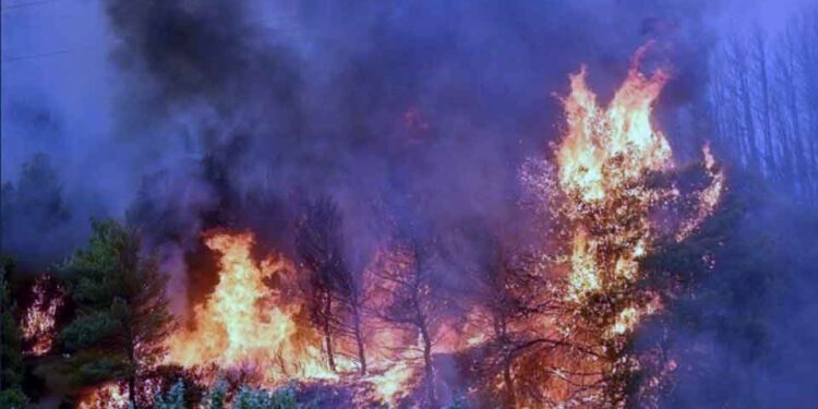 Επιβολή διοικητικού προστίμου σε γυναίκα για πρόκληση πυρκαγιάς, σε ξερά χόρτα στη Φλώρινα