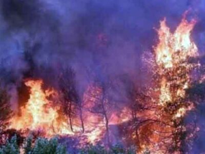 Οι επαναλαμβανόμενες παραβιάσεις των αρμοδιοτήτων του Πυροσβεστικού Σώματος αποτελούν συνειδητή ενέργεια σε βάρος των συμφερόντων του ελληνικού λαού