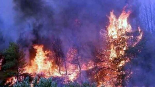 Οι επαναλαμβανόμενες παραβιάσεις των αρμοδιοτήτων του Πυροσβεστικού Σώματος αποτελούν συνειδητή ενέργεια σε βάρος των συμφερόντων του ελληνικού λαού