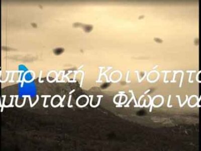 Το 1ο Δημοτικό Σχολείο Αμυνταίου απέσπασε το 2ο βραβείο στον Διεθνή Μαθητικό Διαγωνισμό Κύπρος – Ελλάδα – Ομογένεια