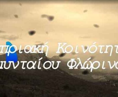 Το 1ο Δημοτικό Σχολείο Αμυνταίου απέσπασε το 2ο βραβείο στον Διεθνή Μαθητικό Διαγωνισμό Κύπρος – Ελλάδα – Ομογένεια