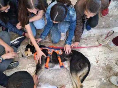 Δράσεις του Γυμνασίου Φιλώτα για την Πανελλήνια Σχολική Ημέρα Φιλοζωίας