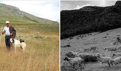 Προβολή του βραβευμένου ντοκιμαντέρ «Πνεύμα Γηγενές» που τα γυρίσματα πραγματοποιήθηκαν στο χωριό Σκλήθρο Φλώρινας