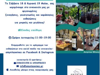 8ο Μαθητικό Πρωτάθλημα Σκραμπλ Πτολεμαΐδας