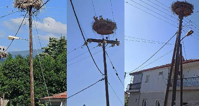 Νίκη Φλώρινας το χωριό των Πελαργών