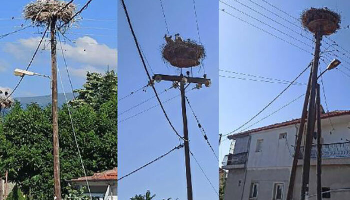 Νίκη Φλώρινας το χωριό των Πελαργών