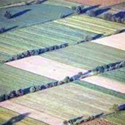 Ενημέρωση για τον αναδασμό του αγροκτήματος Νεοχωρακίου