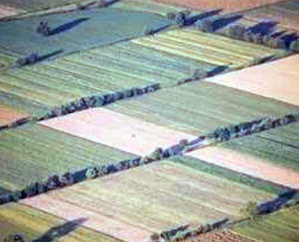 Ενημέρωση για τον αναδασμό του αγροκτήματος Νεοχωρακίου