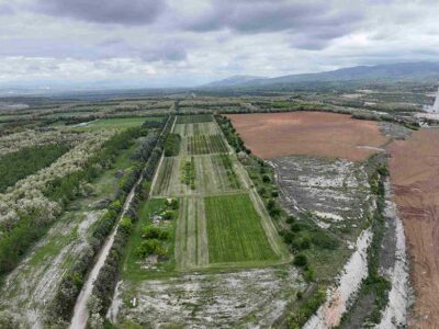 ΔΕΗ: Ιδρυτικό μέλος στην διεθνή πρωτοβουλία «Συμμαχία για τη Βιώσιμη Διαχείριση της Βιοποικιλότητας»