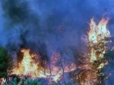 Απαγόρευση κυκλοφορίας σε περιοχές Natura και Δάση της Δυτικής Μακεδονίας με απόφαση Περιφερειάρχη