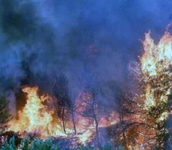 Απαγόρευση κυκλοφορίας σε περιοχές Natura και Δάση της Δυτικής Μακεδονίας με απόφαση Περιφερειάρχη