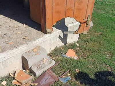 Φλώρινα: Αρκούδα μπήκε σε αυλή σπιτιού για το κοτέτσι