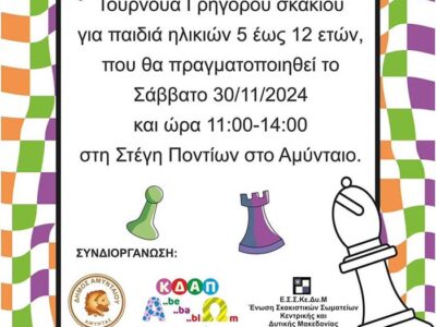 1o Τουρνουά Γρήγορου Σκακιού στο Αμύνταιο