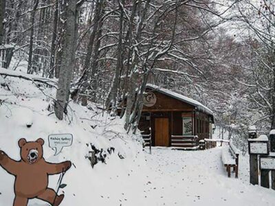Το Κέντρο Προστασίας Αρκούδας στο Νυμφαίο έκλεισε πριν από λίγες ημέρες, καθώς οι αρκούδες μας μπήκαν σε χειμέριο λήθαργο
