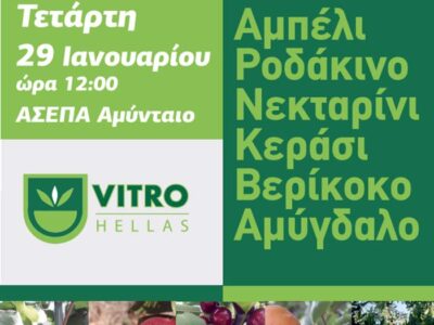 Α.Σ.Ε.Π.Α Ενημερωτική εκδήλωση