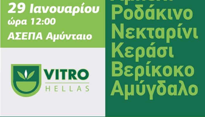 Α.Σ.Ε.Π.Α Ενημερωτική εκδήλωση