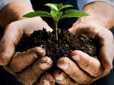 1η Τροποποίηση της αριθμ. 3088/1-11-2024 Πρόσκλησης για την «Εγκατάσταση Γεωργών Νεαρής Ηλικίας»