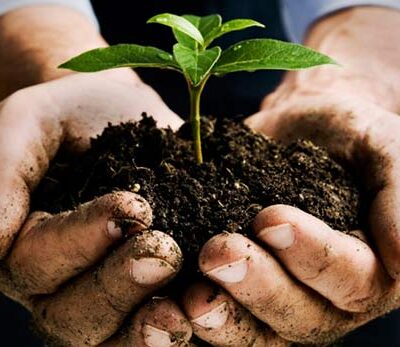 1η Τροποποίηση της αριθμ. 3088/1-11-2024 Πρόσκλησης για την «Εγκατάσταση Γεωργών Νεαρής Ηλικίας»