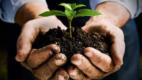 1η Τροποποίηση της αριθμ. 3088/1-11-2024 Πρόσκλησης για την «Εγκατάσταση Γεωργών Νεαρής Ηλικίας»