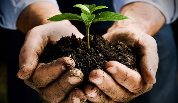 1η Τροποποίηση της αριθμ. 3088/1-11-2024 Πρόσκλησης για την «Εγκατάσταση Γεωργών Νεαρής Ηλικίας»