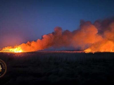 Φωτιά σε καλαμιώνες της Λίμνης Πετρών