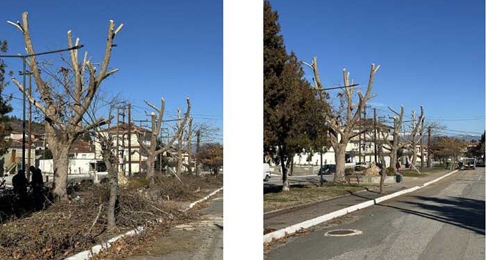 Κλαδεύσεις επικίνδυνων δένδρων, καλλωπισμός πάρκων και καθαρισμός ερεισμάτων