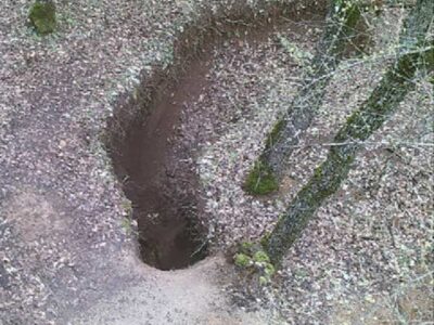 Συνελήφθησαν επ΄ αυτοφώρω 2 άτομα σε περιοχή της Φλώρινας για παράβαση νομοθεσίας περί προστασίας αρχαιοτήτων