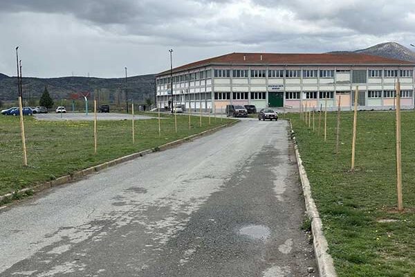 Φύτευση δέντρων από τον Δήμο Αμυνταίου