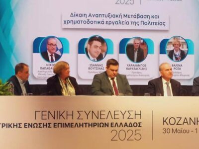 Παρέμβαση Προέδρου Επιμελητηρίου Φλώρινας, κ. Βαλίνας Ρόζα στην ΚΕΕΕ