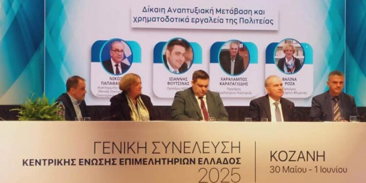 Παρέμβαση Προέδρου Επιμελητηρίου Φλώρινας, κ. Βαλίνας Ρόζα στην ΚΕΕΕ