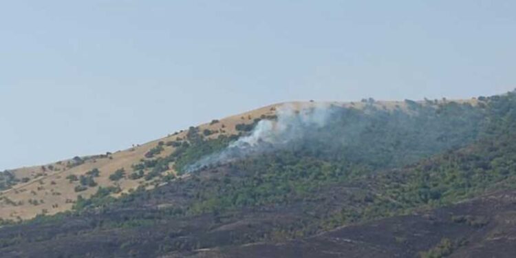 Κοζάνη: Σε εξέλιξη η φωτιά μεταξύ Ποντοκώμης και Ασβεστόπετρας