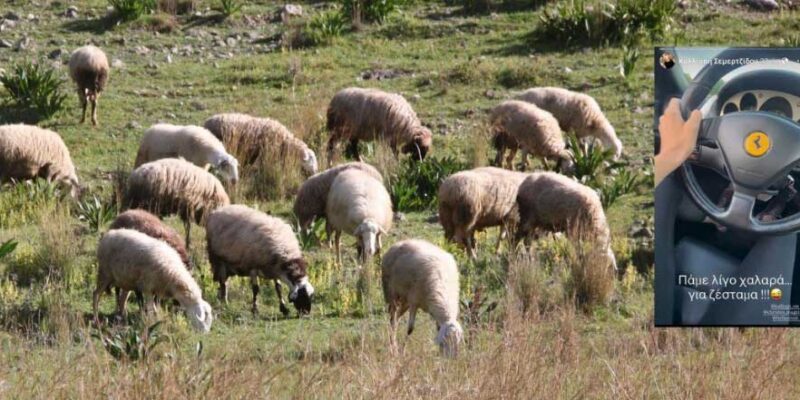 ΟΠΕΚΕΠΕ: Σε «γαλάζια» συντονίστρια απο την Κοζάνη το 1,4 εκατ. ευρώ - Κυκλοφορούσε και με Ferrari