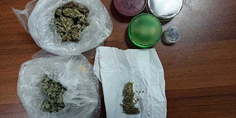 Σε δασική περιοχή των Γρεβενών συνελήφθησαν για καλλιέργεια δενδρυλλίων κάνναβης