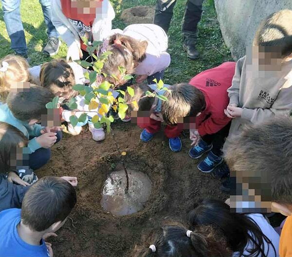 Δήμος Φλώρινας: Φύτευση οπωροφόρων δενδρυλλίων στο 8ο Νηπιαγωγείο