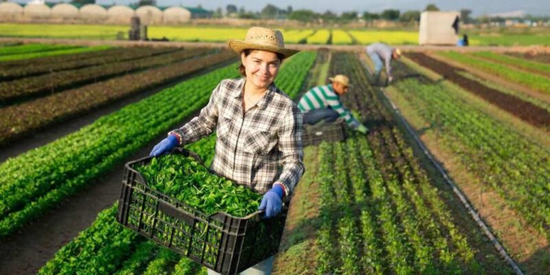 Η Παγκόσμια Ημέρα Αγρότισσας