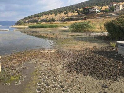 Σε κατάσταση έκτακτης ανάγκης οι Ψαράδες Πρεσπών λόγω πτώσης της στάθμης της λίμνης
