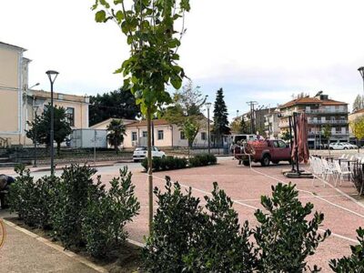 Ολοκληρώθηκε η 2η φάση φύτευσης στα πλαίσια της ανάπλασης του κέντρου του Αμυνταίου